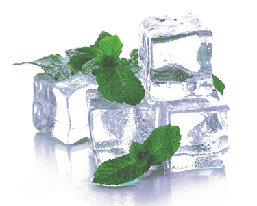 ArcticBlast Ingredient - Aloe Vera